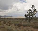 48 Mojave Desert CA
