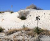 04 White Sands NM