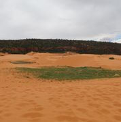 007 Coral Pink Sand Dunes