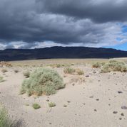 201 Death Valley