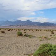 209 Death Valley